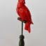 Red parrot on stand