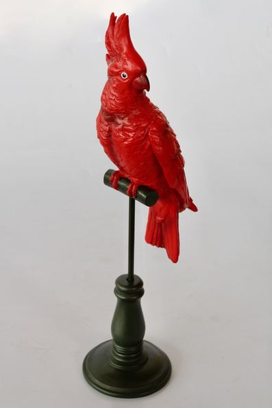 Red parrot on stand