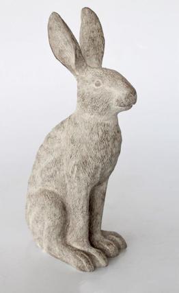 Large grey sitting hare