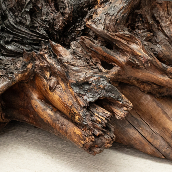 Driftwood Coffee Table - Image 3