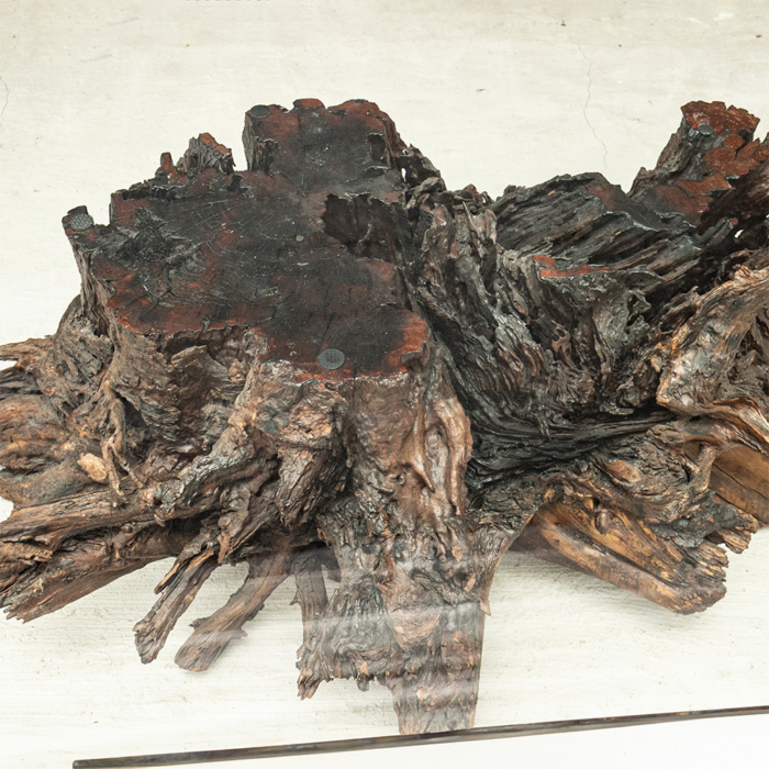 Driftwood Coffee Table - Image 5