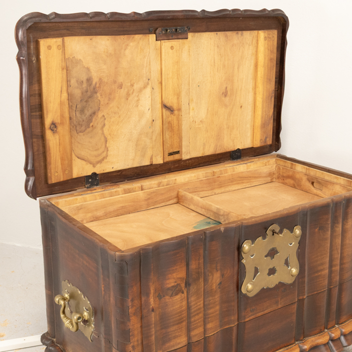 Heavy Brass Mounted Stinkwood Chest - Image 6