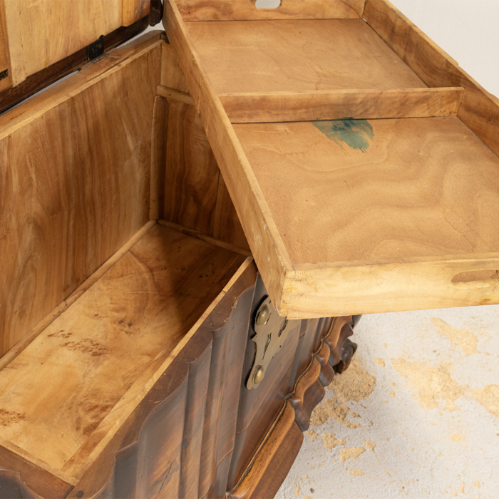 Heavy Brass Mounted Stinkwood Chest - Image 8