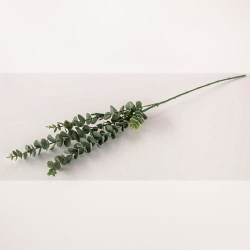 Green Eucalyptus Spray