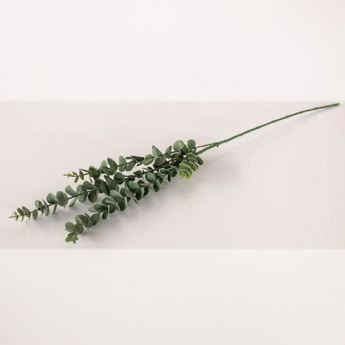 Green Eucalyptus Spray